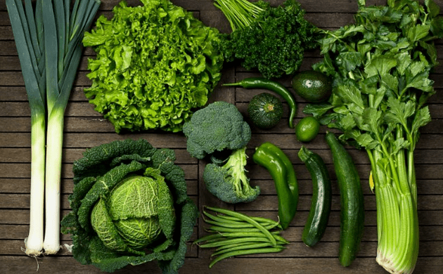 The role of fibers in the ceto diet