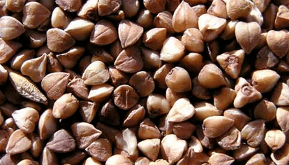 Sarracene wheat porridge for weight loss