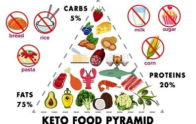 permitted and prohibited foods on the keto diet
